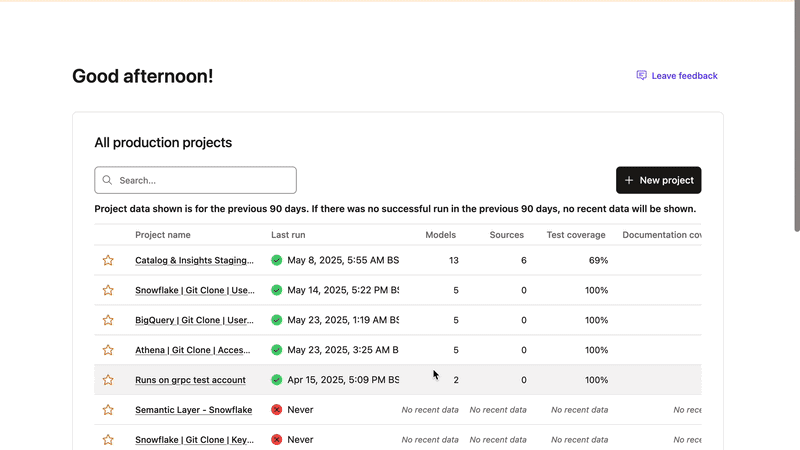 View usage in dbt Copilot View usage in dbt Copilot